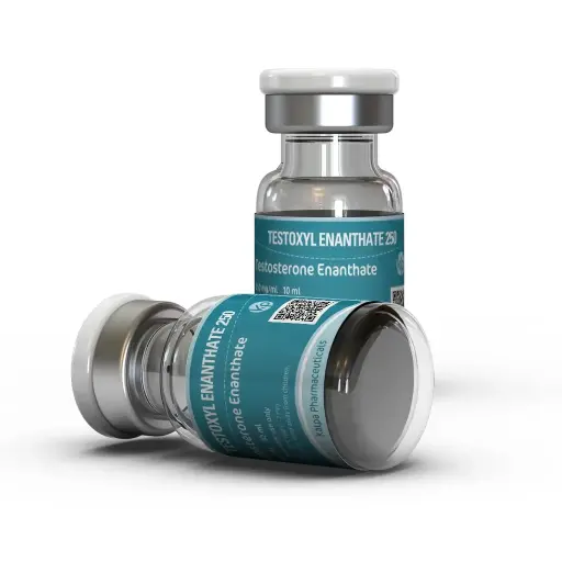 Testosterone Enanthate cycle - Image 2